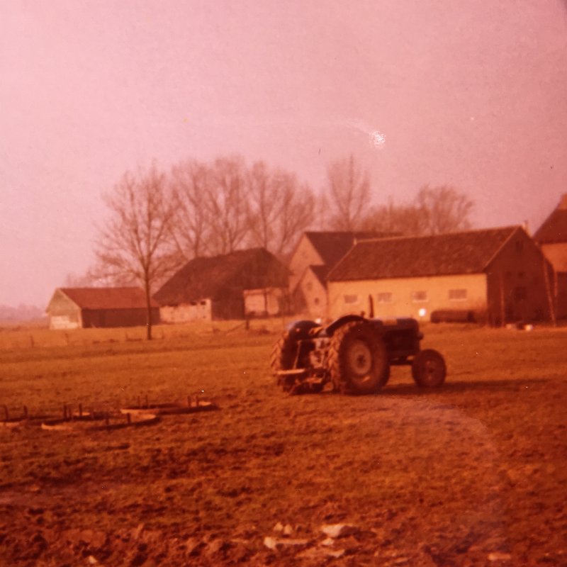 07